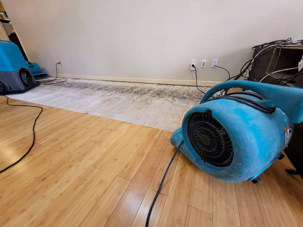 Professional Water Extraction technician working in Kingston, NJ